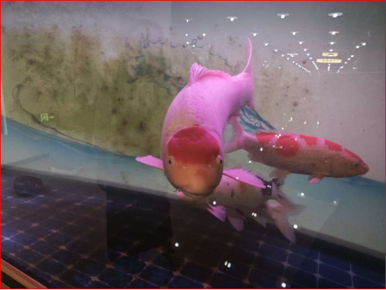 6743d78c-6be8-48d3-a3d4-07f48240f5a5